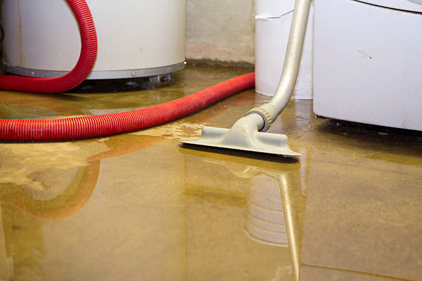 Best Sewage cleanup and water damage restoration  in Thermalito, CA