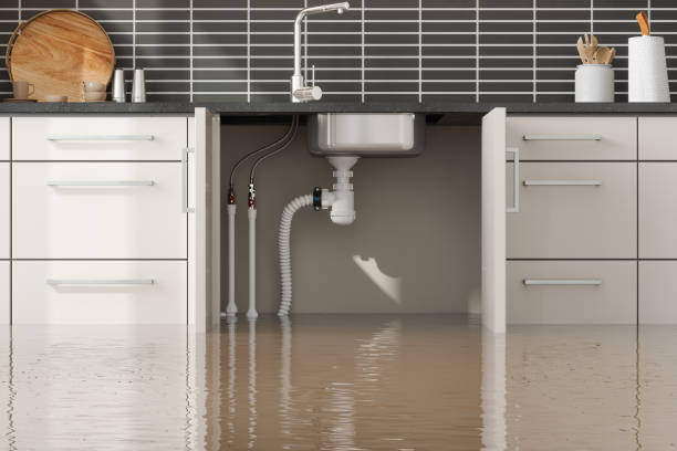 Best Flooded house restoration  in Thermalito, CA
