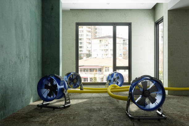 Thermalito, CA Water damage restoration Pros